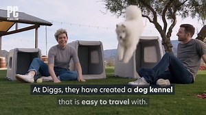 Pet carriers are not always the most convenient contraptions. At...