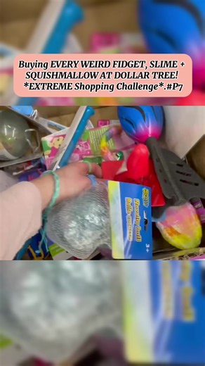 Ultimate Fidget Toy Shopping Challenge Under $1