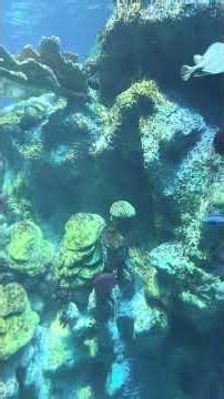 New England aquarium