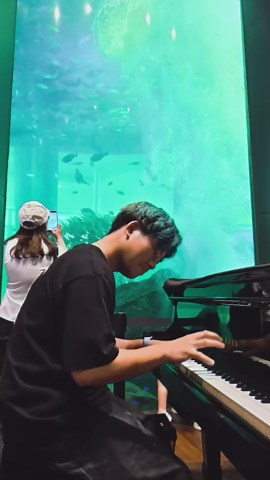 アリエル（Part of Your World）ピアノ演奏｜博多ベイサイドプレイスの反応