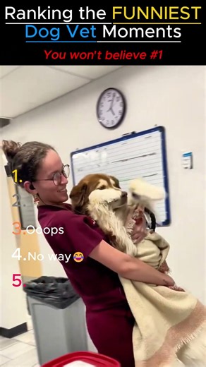 🦅 Ranking the FUNNIEST Dog Vet Moments 🐶💉🪶 #shorts