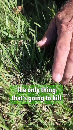 57K views · 116 reactions | HomeShow Garden Pros Radio on Reels | Facebook