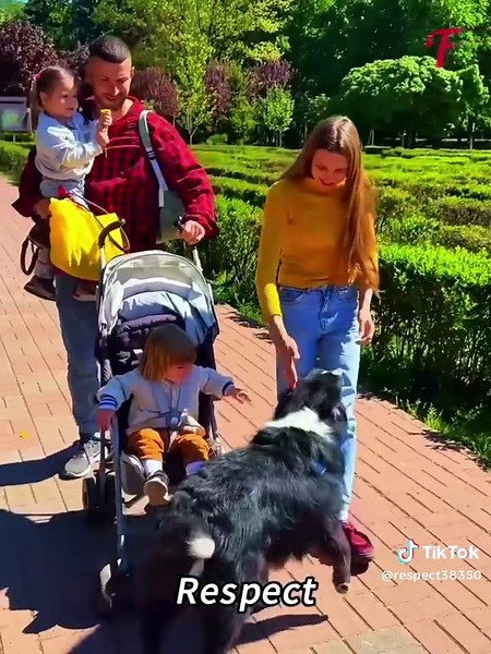 Understanding and Respect for a Compassionate Society