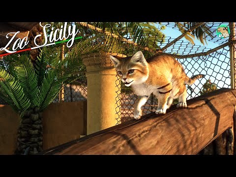 CUTEST Sand Cat Habitat - Zoo Sicily Planet Zoo