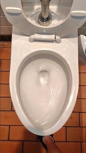 Brand New American Standard Afwall Toilet At Portillo's!