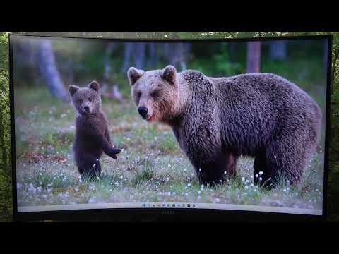 MSI MAG 321CUP - DSC 활성화/비활성화 방법