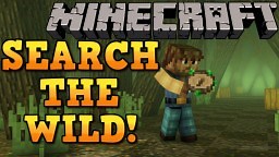 FIND ALL THE RESOURCES YOU SEEK! Nature's Compass Mod Showcase! Minecraft Blog