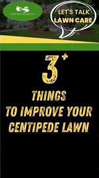 3 Ways to Improve Your Centipede Lawn in Charleston SC | Lawn Care Tips