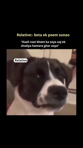 POV :When your guest witnessing your inner literaturer at family reunion!😅#memes#relatablememe