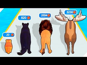 🌞CAT EVOLUTION, MAXIMUM LEVEL! Cat Evolution