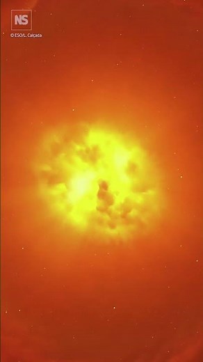 See the first photo of a star in another galaxy ✨️