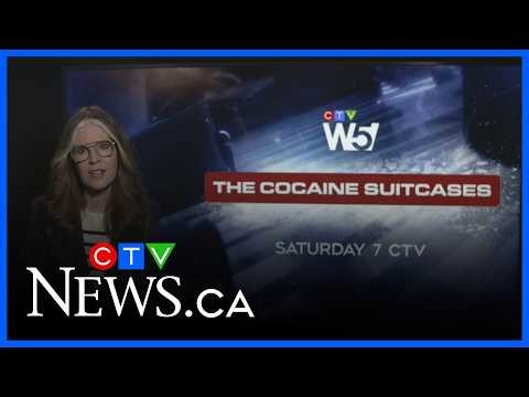Inside “The Cocaine Suitcases” investigation