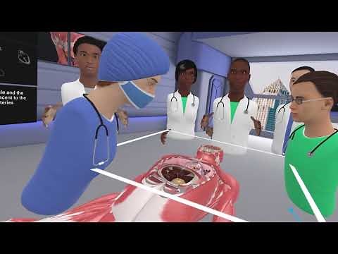 The new 3D Organon Medverse