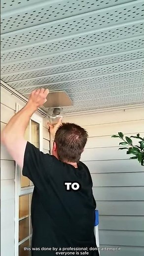 This Trick Makes Hornet Nests Disappear Fast!