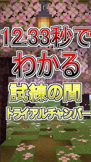 トライアルチャンバーの基本を一瞬で！
