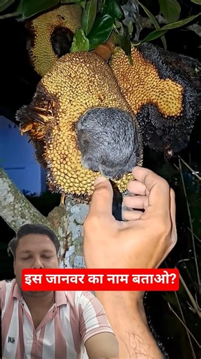 Top Learning Toolsfor Tech 🔥Enthusiasts#shorts #shortsfeed #viralshorts🔥🙏