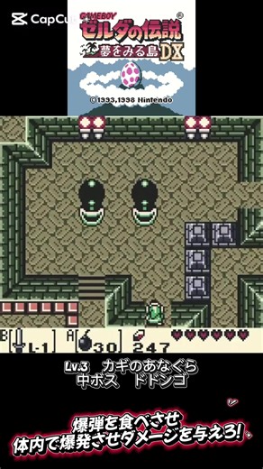 初心者が挑む ゼルダの伝説 夢をみる島DX カギのあなぐら 中ボス戦 #ゼルダの伝説夢をみる島 #初心者 #カギのあなぐら #中ボス戦 #ドドンゴ