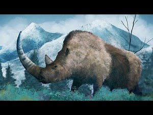 The Insane Evolution of the Woolly Rhino