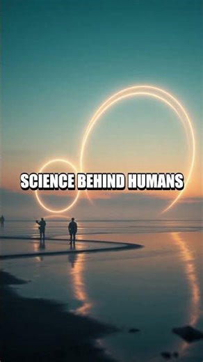 Alien Language and Time The Arrival Reality