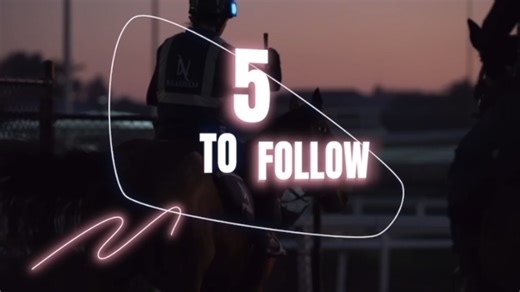 Five To Follow: 7th Nov 25