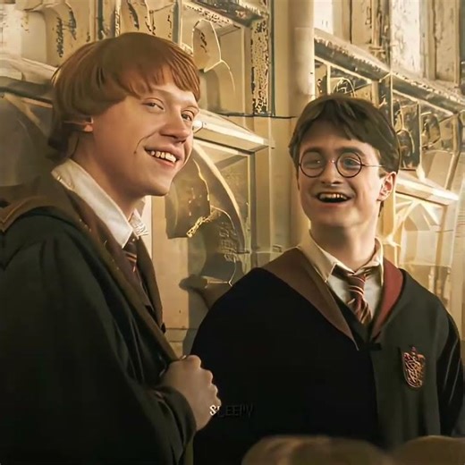 "They're The Definition Of Pure Friendship 💕✨" || Ron Weasley || Harry Potter