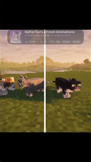 These Two Resource Packs Change Everything