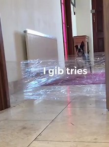 The invisible challenge 😂 | Boston Terrier World