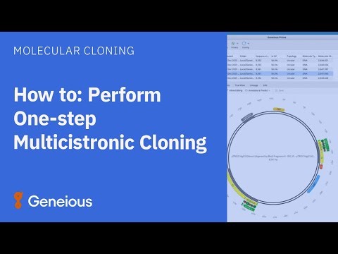 How to Perform One-step Multicistronic Cloning in Geneious Prime
