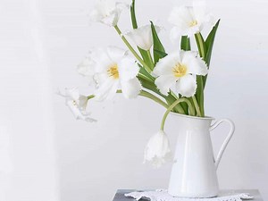 TF225-United States Interstate Highway System