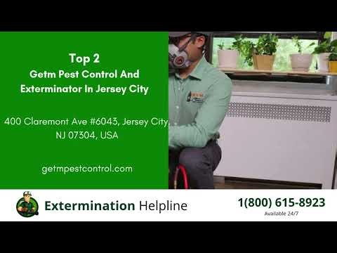 Top 3 Exterminators in Orange