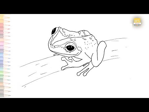 Coqui Frog drawing | Dibujo de rana coquí común | How to draw A Coqui Frog | easy drawing videos