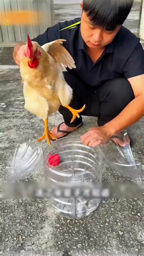 Increíbles tips for todos personas. #hacks #lifehacks #Lifestyle #learnontiktok