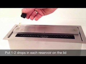 How to use a Bio Fire?