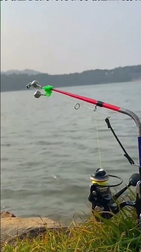 Cần câu cá tự động, câu cá lớn dễ dàng 😍 | Fishcamp Việt Nam #3