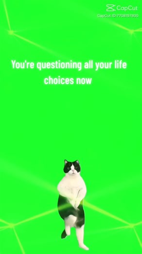 My life choices 😂 #lifechoices #meme #supporteachother #newtiktok