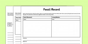 Differentiated Fossil Record Worksheet