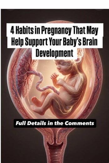 4 Habits in Pregnancy That May Help Support Your Baby’s Brain Development #pregnant #pregnancytiktok #pregnancylife #likecommentsharefollow #pregnancy
