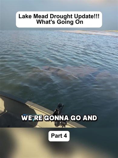 Fishing Adventure: Casting Nets and Catching Fish