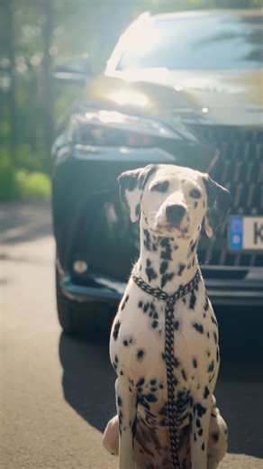 2.4K views · 37 reactions | Du steigst in deinen Lexus und spürst...