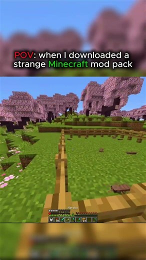 when I downloaded a strange Minecraft mod pack #shorts