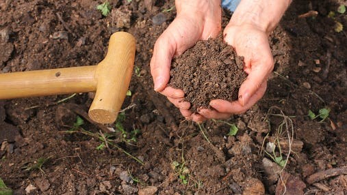 Garden: What to know about soil pH
