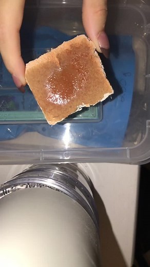 Drywall Eating ASMR Video | Pica Disorder Craving | Duvar Yeme ASMR