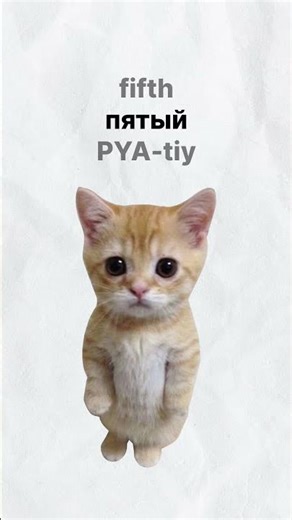 Ordinal numbers in Russian #russianlanguage