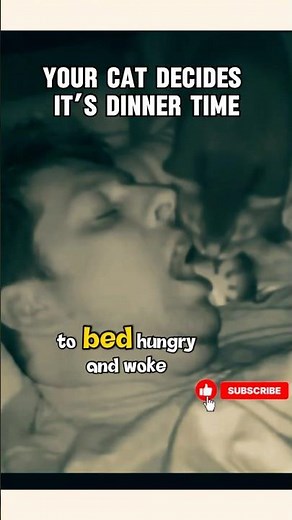 Bro went to bed hungry and woke up traumatized