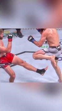 Ankalaev Vs Polish Power I
