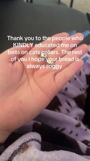 Why Bells on Cat Collars Are Harmful for Anxious Cats