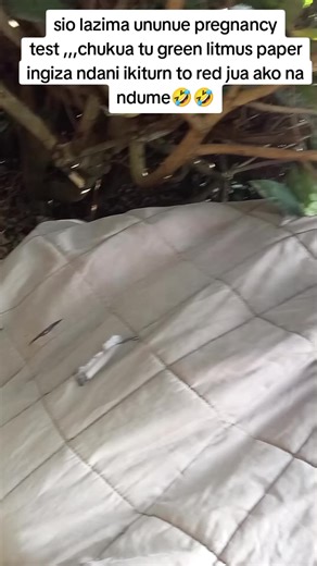 Use Green Litmus Paper for Pregnancy Testing