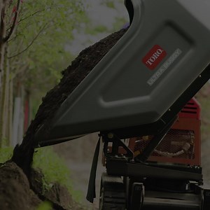 Now through January 31, save big on the Toro equipment you need, including the Dingo and Ultra Buggy lineups. | Toro