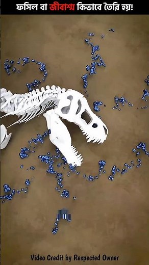 How are fossils formed?? 😱 How are Fossils Formed? by 3D Animation #shorts #facts #animation
