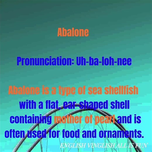 Abalone is a type of sea shellfish containing mother of pearl